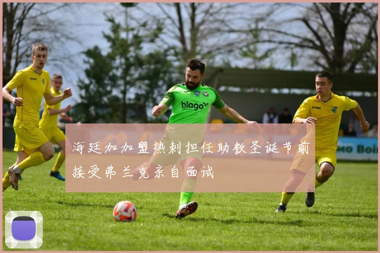 海廷加加盟热刺担任助教圣诞节前接受弗兰克亲自面试
