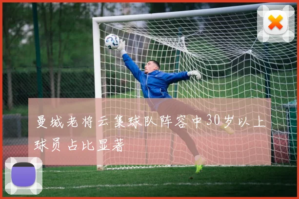 曼城老将云集球队阵容中30岁以上球员占比显著
