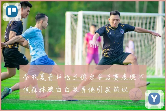香农夏普评论兰德尔季后赛表现不佳森林狼白白放弃他引发热议